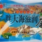 厂家安春堂【胖大海滋润茶】新品 大货请联系厂家