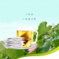 厂家安春堂 盒装【荷叶茶】 量多从优